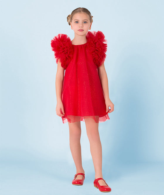 Shimmering Ruffles Dress